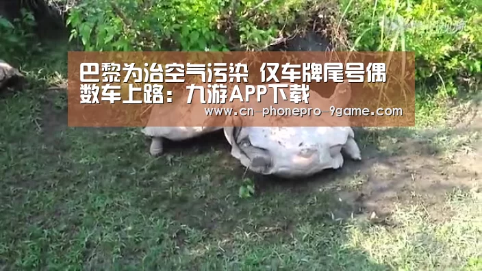 九游APP下载