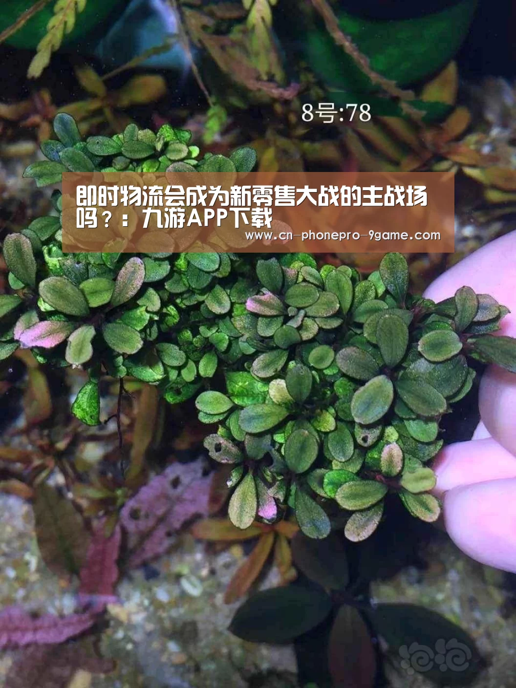 九游游戏