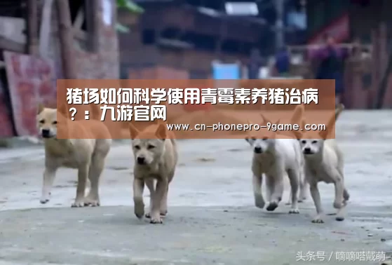 九游APP下载