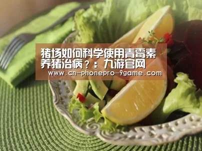 九游游戏
